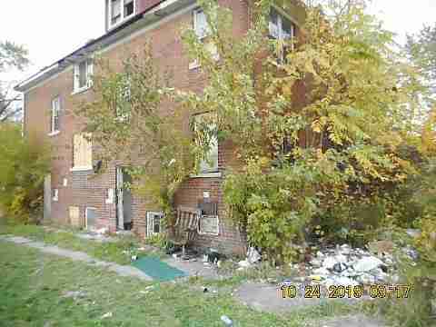 14036 Marlowe (3)_m.jpg